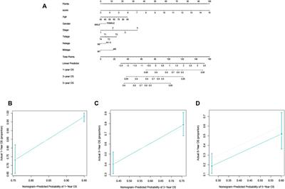 Construction of the model for predicting prognosis by key genes regulating EGFR-TKI resistance